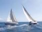 Ritratto di spinnaker